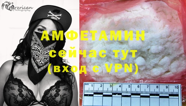 твердый Новодвинск