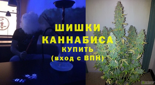 гидропоника Карпинск
