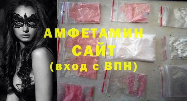 гидра Няндома