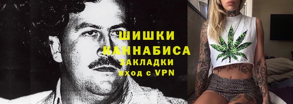 гидропоника Карпинск