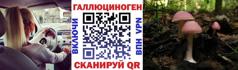 мега ONION Лермонтов Псилоцибиновые грибы GOLDEN TEACHER
